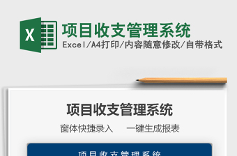 2024项目收支管理系统excel表格