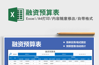 2025融资预算表免费下载