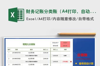 2025财务记账分类账（A4打印，自动计算，简介大）免费下载