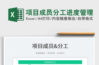 2024项目成员分工进度管理exce表格