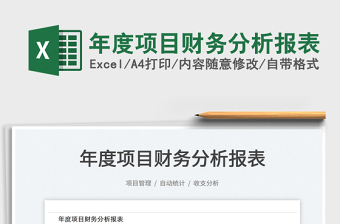 2025年度项目财务分析报表免费下载