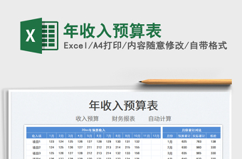 2025年收入预算表免费下载