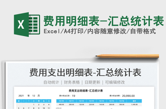 费用明细表-汇总统计表