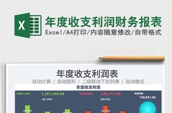 2025年度收支利润财务报表免费下载