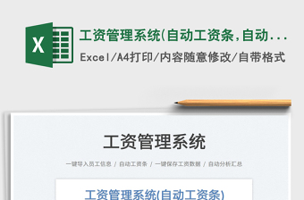 2024工资管理系统(自动工资条,自动保exce表格