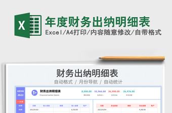 2025年度财务出纳明细表免费下载