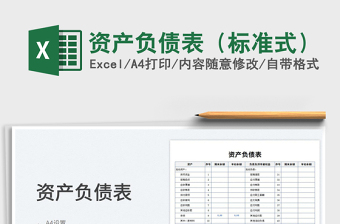 2024资产负债表（标准式）exce表格