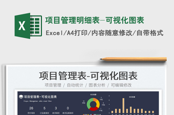 2024项目管理明细表-可视化图表exce表格