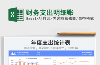 2025财务支出明细账免费下载