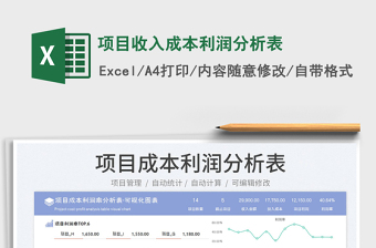 2024项目收入成本利润分析表exce表格