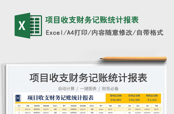 2025项目收支财务记账统计报表免费下载