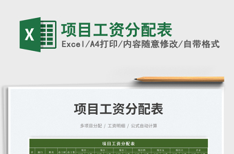 2025项目工资分配表