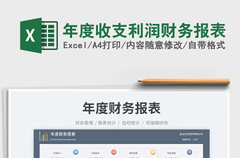 2025年度收支利润财务报表