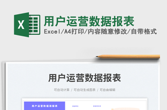 2025用户运营数据报表