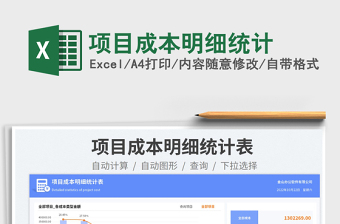 2025项目成本明细统计