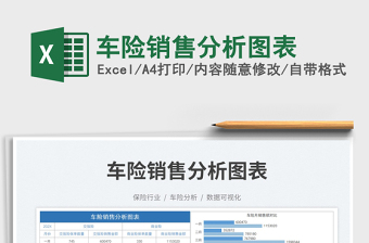 2025车险销售分析图表免费下载