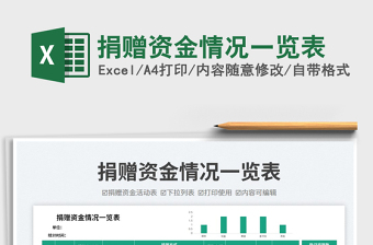 2025捐赠资金情况一览表免费下载