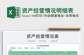 2025资产经营情况明细表免费下载