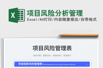 项目风险分析管理exce表格
