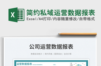 2025简约私域运营数据报表免费下载