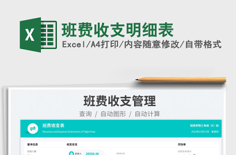 2025班费收支明细表免费下载