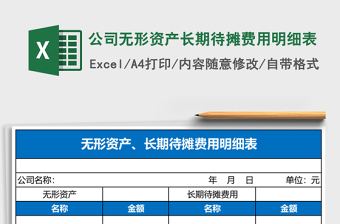 公司无形资产长期待摊费用明细表