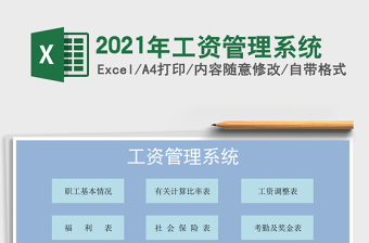 2025年工资管理系统