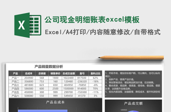 2025公司现金明细账表excel模板