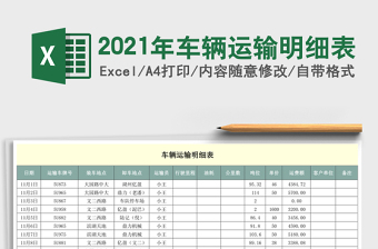 车辆运输明细表