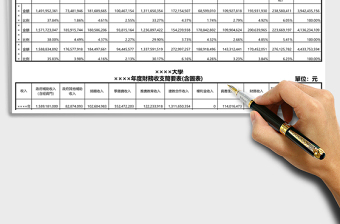 2025大学年度财务收支简要表Excel表格