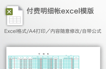 付费明细帐excel模版