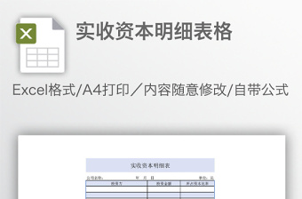 实收资本明细表格