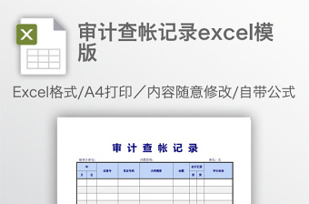 审计查帐记录excel模版