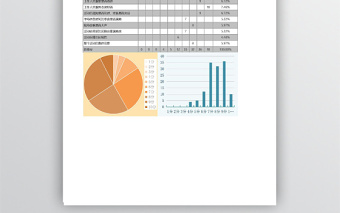 带公式自动图表化问卷调查设计表免费下载