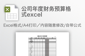 简约公司年度财务预算格式excel